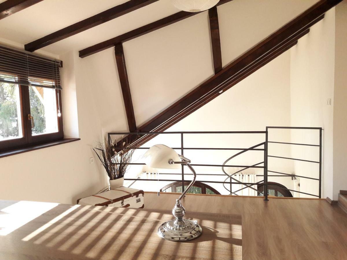 Spacious Apartment "Ana" On Lake Sabljaci Ogulin Exterior photo