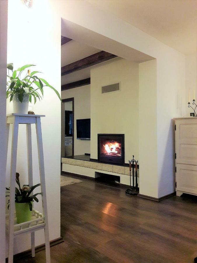 Spacious Apartment "Ana" On Lake Sabljaci Ogulin Exterior photo
